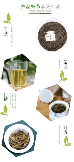 智在善普洱茶 2019年春 小户赛 百年古树纯料生普洱茶饼茶叶 200克