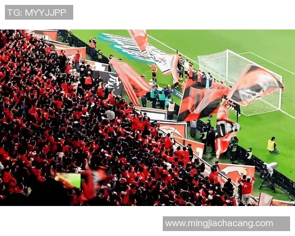 中央5台足球明星盛典精彩回顾球迷热情高涨共庆足球盛事