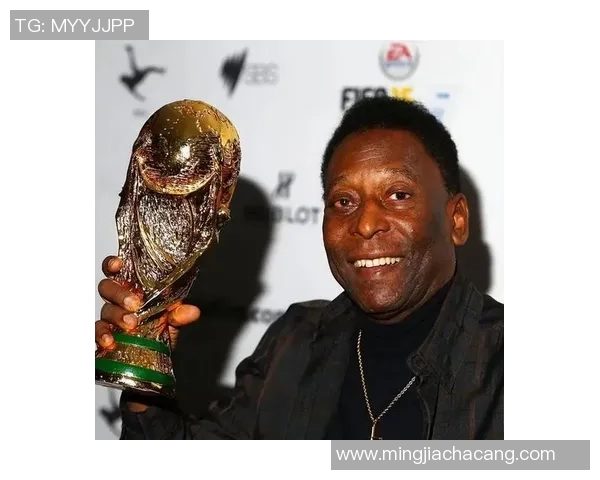 足球明星4号前锋的传奇之路与辉煌成就揭秘