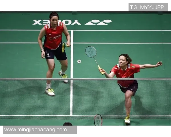 南京羽毛球队挑战赛战术分析与表现评估全景解读